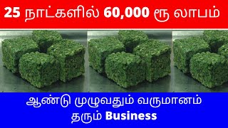 25 நாட்களில் 60,000 ரூ லாபம் ஆண்டு முழுவதும் வருமானம் தரும் Business​​ Small Business Ideas Tamil