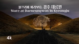 물끄러미 바라보다, 경주 대릉원 / Stare at Daeneungwon in Gyeongju