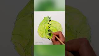 How to paint a cabbage #cabbage #Howtopaint #Paintingveggie #vegetable #painting #shorts