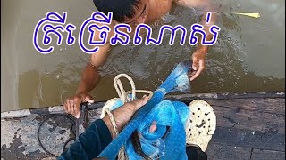 សប្បាយបង់ណាស់ Amazing Traditional Cast Net Fishing 2025 |