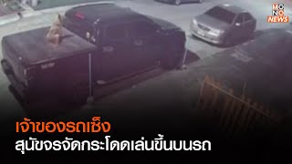 เจ้าของรถเซ็ง สุนัขจรจัดกระโดดเล่นขึ้นบนรถ | ข่าวเด่น ประเด็นดัง TopTalk |19/12/65