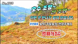 💦(분할 매매 가능)호수 전망이 좋은 전원주택지 산 위 주말농장 농막 체류형쉼터 공주부동산 토지매매 ~싼집 싼땅 급매물 행운집땅부동산tv