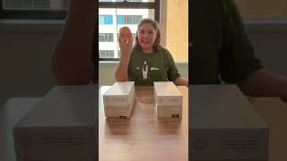 STEM Challenge: Build a paper bridge | Little Scientists Australia