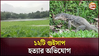 মাদারীপুরে বিদ্যুৎ অফিসের পুকুরে ভে‌সে উঠল ১২টি মৃ*ত গুইসাপ | Madaripur News | Channel 24