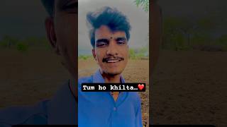 Tum ho khilta | old song | #trending #yt #viralsong #viralsong #oldisgold #kishorchopde #hindisong