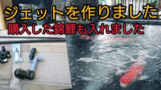 【錦鯉の為にジェット作りました】購入した昭和も合流させました！　飼育　自宅池　大型水槽　#錦鯉　濾過槽　当歳　#nisikigoi　Amazing Koi　ปลาคราฟ　#diy