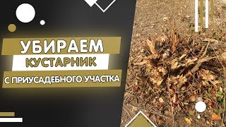 КАК ВЫКОРЧЕВАТЬ КУСТЫ НА УЧАСТКЕ? | В Доме хозяин