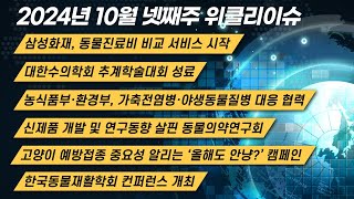 [위클리이슈] 삼성화재 동물진료비 비교 서비스+고양이 예방접종 중요성 캠페인 등(24.10.28.)