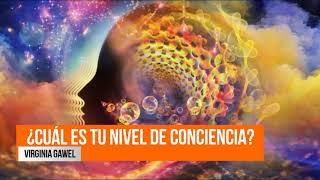 Cuál es tu nivel de conciencia - Virginia Gawel