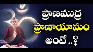 Pranamudra Pranayama || ప్రాణముద్ర ప్రాణాయామం అంటే ... || Swami Maitreya || Sree Sannidhi Tv