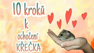 Jak si ochočit křečka - 10 jednoduchých kroků