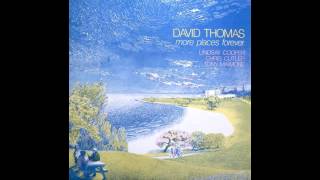 David Thomas and the Pedestrians - Enthusiastic