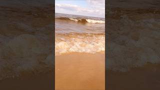 Панорама Київського моря! Природа України🌊Panorama of the Kyiv Sea! Nature of Ukraine🌊