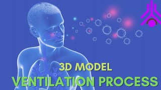 Ventilation Process @theanatomycornor