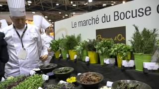 Bocuse d'Or 2015 - METRO Market