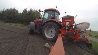 Mais legen mit Case Maxxum 140 und Gaspardo Einzelkornlegemaschine ( 6 Reihig )