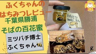 ふくちゃんのはちみつレビュー(48)〜千葉県勝浦産そばの百花蜜〜