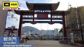 【HK 4K】鯉魚門 (海鮮街) | Lei Yue Mun (Seafood Street) | DJI Pocket 2 | 2021.04.30