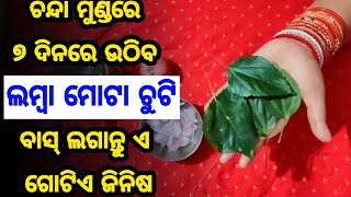 କଣ ଆପଣ ଚନ୍ଦାପଣ ସମସ୍ଯାରେ ଚିନ୍ତିତ ଅଛନ୍ତି କି, ତେବେ ଲଗାନ୍ତୁ ଏହି ଗୋଟିଏ ଜିନିଷ, ୭ ଦିନରେ ଉଠିବ ଲମ୍ବା ଚୁଟି