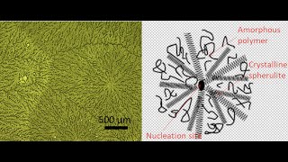 Biodegradable Piezoelectric Pressure Sensor based on Glycine