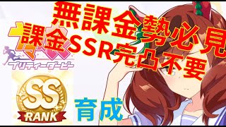 【ウマ娘】ナイスネイチャSSランク達成！完凸不要自前SSR不要！初心者無課金勢！【ウマ娘プリティーダービー】