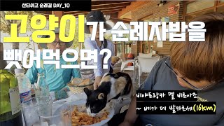 [Day_10] 비야프랑카 델 비에르소(Villafranca del Bierzo) ~  베가 데 발카르세(Vega del Valcarce) 16km, 산티아고 순례길