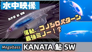 【水中映像】カナタ 鮎 SWは見た目が超カッコいいだけじゃなく、ちゃんと釣れるシーバスミノーです！【メガバス】