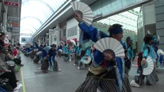 華舞〜鬼蜂〜　よさこい祭り 2012