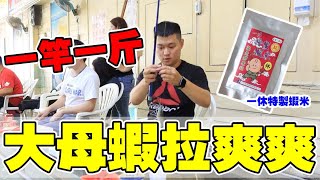 [艾瑞克Eric]六尾一斤  大母蝦一竿一斤  拉爽爽 ft.一休特製蝦米[Shrimp fishing/エビ釣り/Đánh bắt tôm/새우 낚시/การทำประมงกุ้ง]