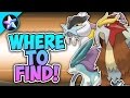 Where To Find The Legendary BEASTS! - Pokemon Brick Bronze