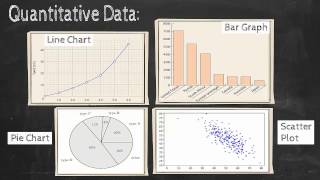 Module 1-6: Types of Data Visualizations