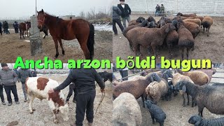 Beshariq ot va qõy bozoridagi bugungi narhlar bilan tanishing 11.12.2022yil+99833.781.14.04