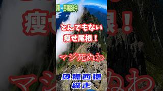 【とんでもない痩せ尾根！】奥穂・西穂縦走１０【最難関ルート】#北アルプス  #登山  #奥穂高岳  #shorts