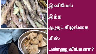 மலை கிராமத்து சாப்பாடு | ஆரூட் கிழங்கு, காச்சல் கிழங்கு, சேப்பக் கிழங்கு கலவையில் சமைத்த காலை உணவு