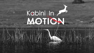 KABINI IN MOTION