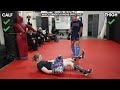 calf kick vs. thigh kicks the ultimate guide to leg strikes in muay thai u0026 mma