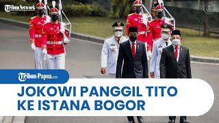 Presiden Jokowi Panggil Mendagri Tito Karnavian di Istana, Tanyakan Perkembangan soal DOB di Papua?