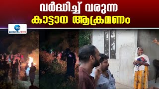 Idukki Wild Elephant Attack |  കാട്ടാന ആക്രമണത്തിൽ  കൊല്ലപ്പെട്ട  സോഫിയയുടെ സംസ്കാര ഇന്ന്