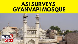 ASI Begins Scientific Survey Of Gyanvapi Mosque Complex Today | Gyanvapi Case | Uttar Pradesh News