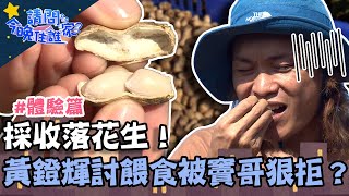 採收落花生！黃鐙輝討餵食被竇哥狠拒？炰花生調皮撒土險被火燒？【請問 今晚住誰家】體驗篇 20221124 EP654 Part2 竇智孔 黃鐙輝