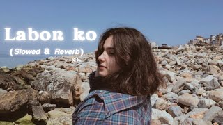 Labon Ko (Slowed + Reverbed) Lofi Mix | Chill Beats for Studying, Relaxation & Sleep