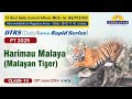 Harimau Malaya (Malayan Tiger)- 10 | By Laxmikant Jaybhaye | Lukmaan IAS