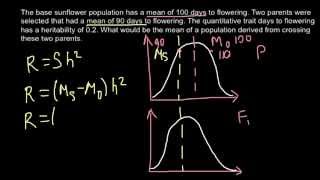 Quantitative Genetics, heritability problem and solution