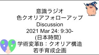 色クオリアシンポジウム　フォローアップ　ディスカッション