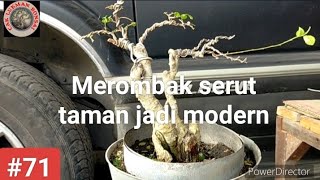 Merombak serut taman jadi modern