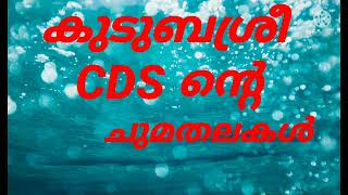 Responsibilities of CDS in kudumbasree.