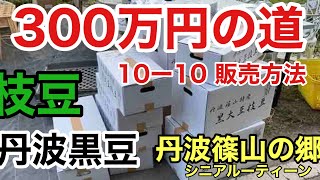 300万円の道、10ー10販売方法、丹波篠山特産枝豆、黒豆、丹波篠山の郷