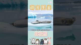 北极熊 第110集 下