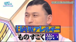 日向坂アレルギーになるオードリー