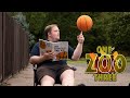 Yazhi the Puma Sinks Her Teeth Into A Basketball! | One Zoo Three